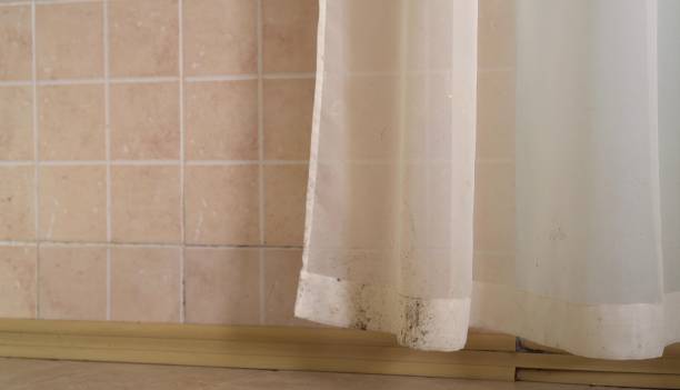 Best Air Quality Testing for Mold Spores  in Cascade, IA