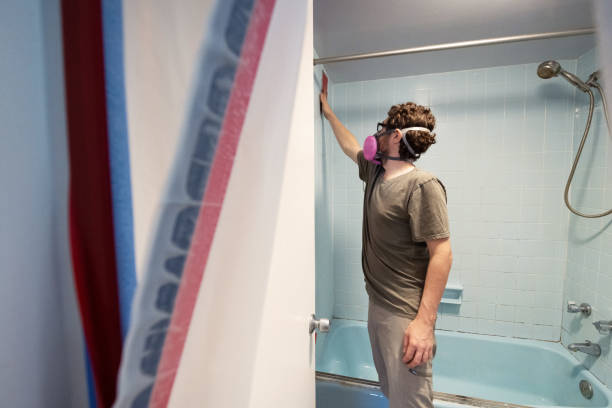 Best Dehumidification Services  in Cascade, IA