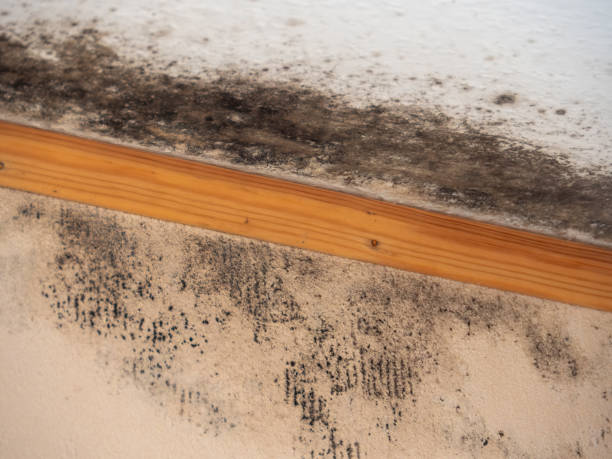 Best Indoor Air Quality Assessment  in Cascade, IA